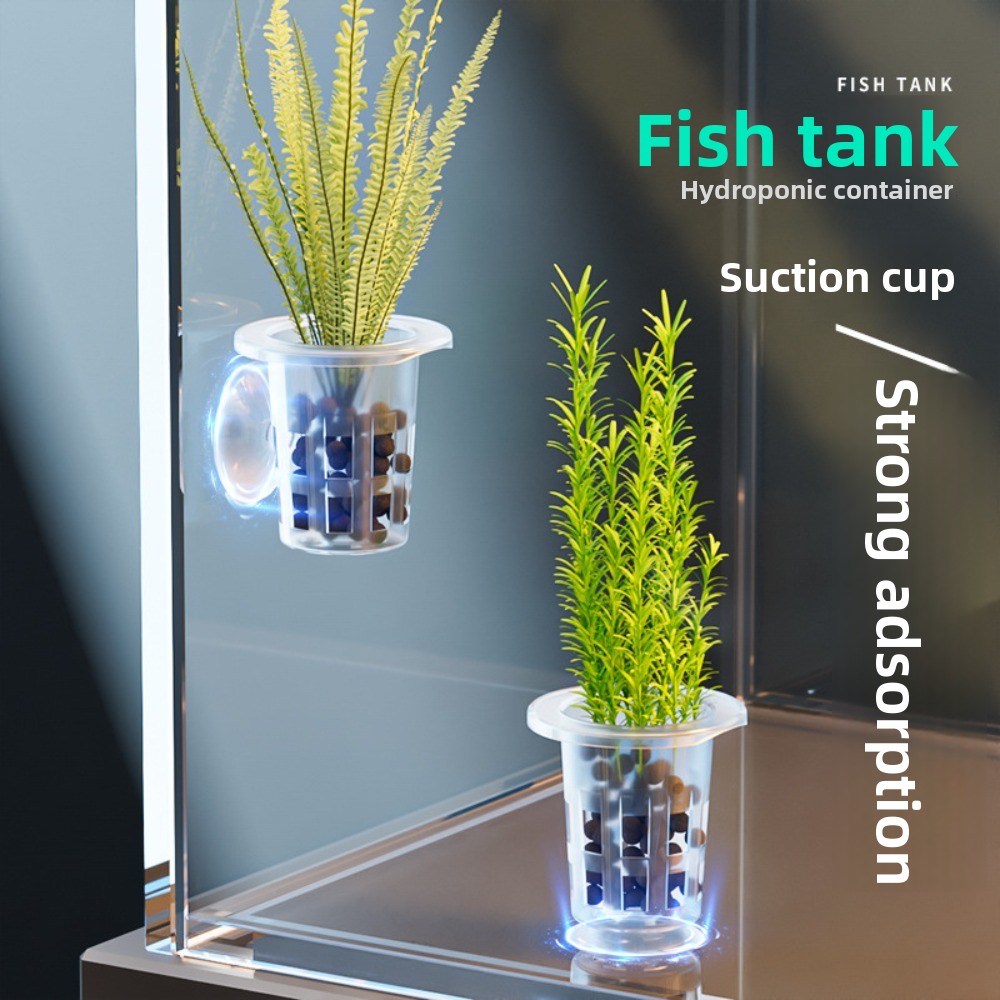 Aquarium Plants Live - 10 pots hydroponiques transparents en plastique