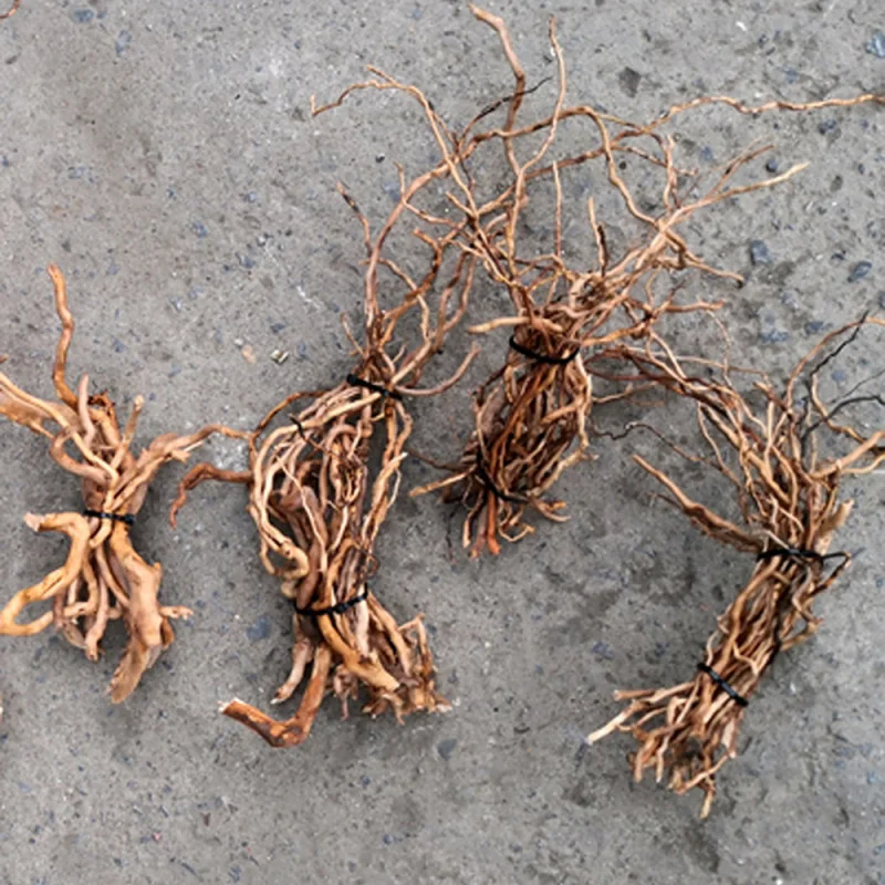 Aquarium Driftwood - Tronc d'arbre naturel en bois flotté