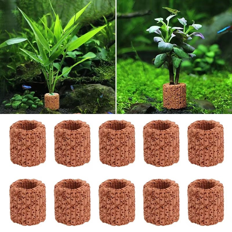 Aquarium Plants Live - Anneau fixe pour plantes aquatiques, pour