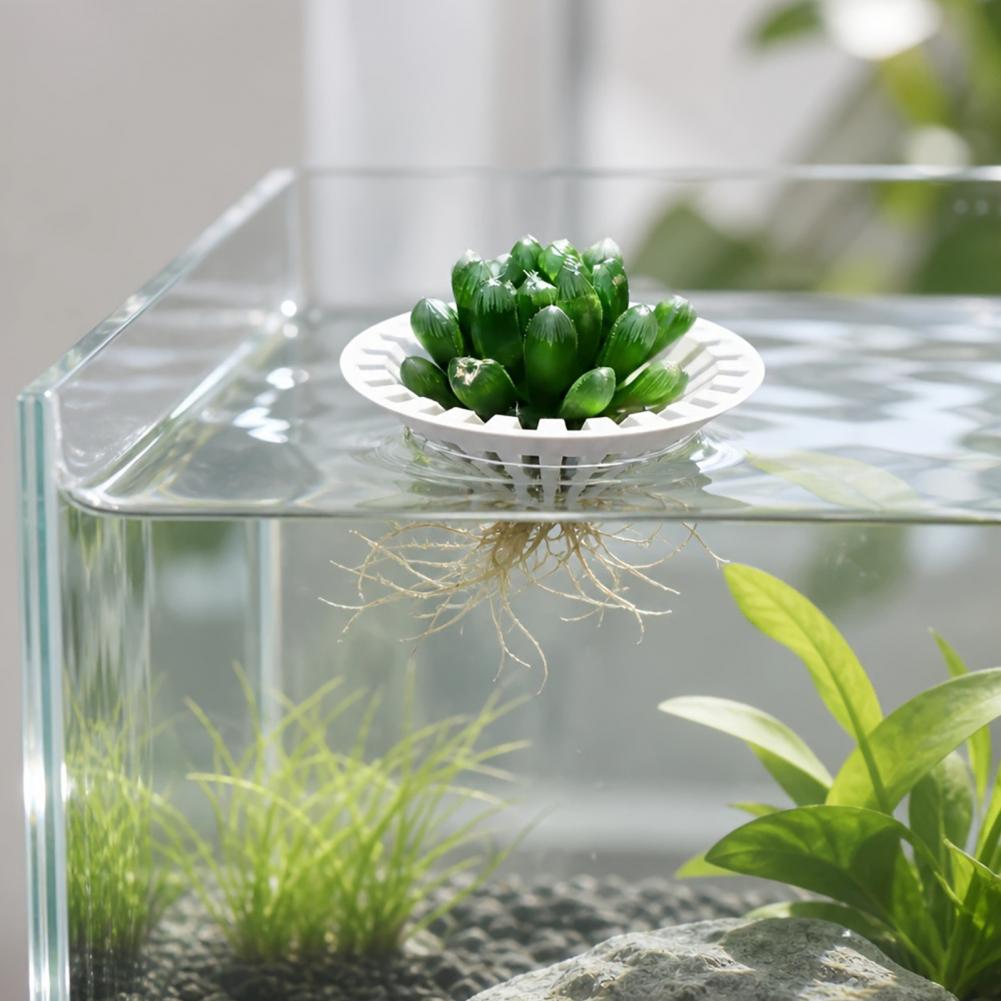 Plant Aquarium Pot - Pot hydroponique pour aquarium, support flottant