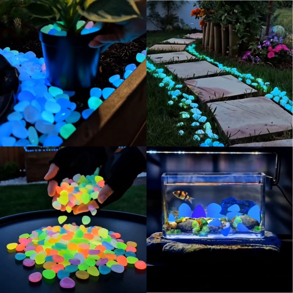 Planted Tank - Galets lumineux colorés qui brillent dans