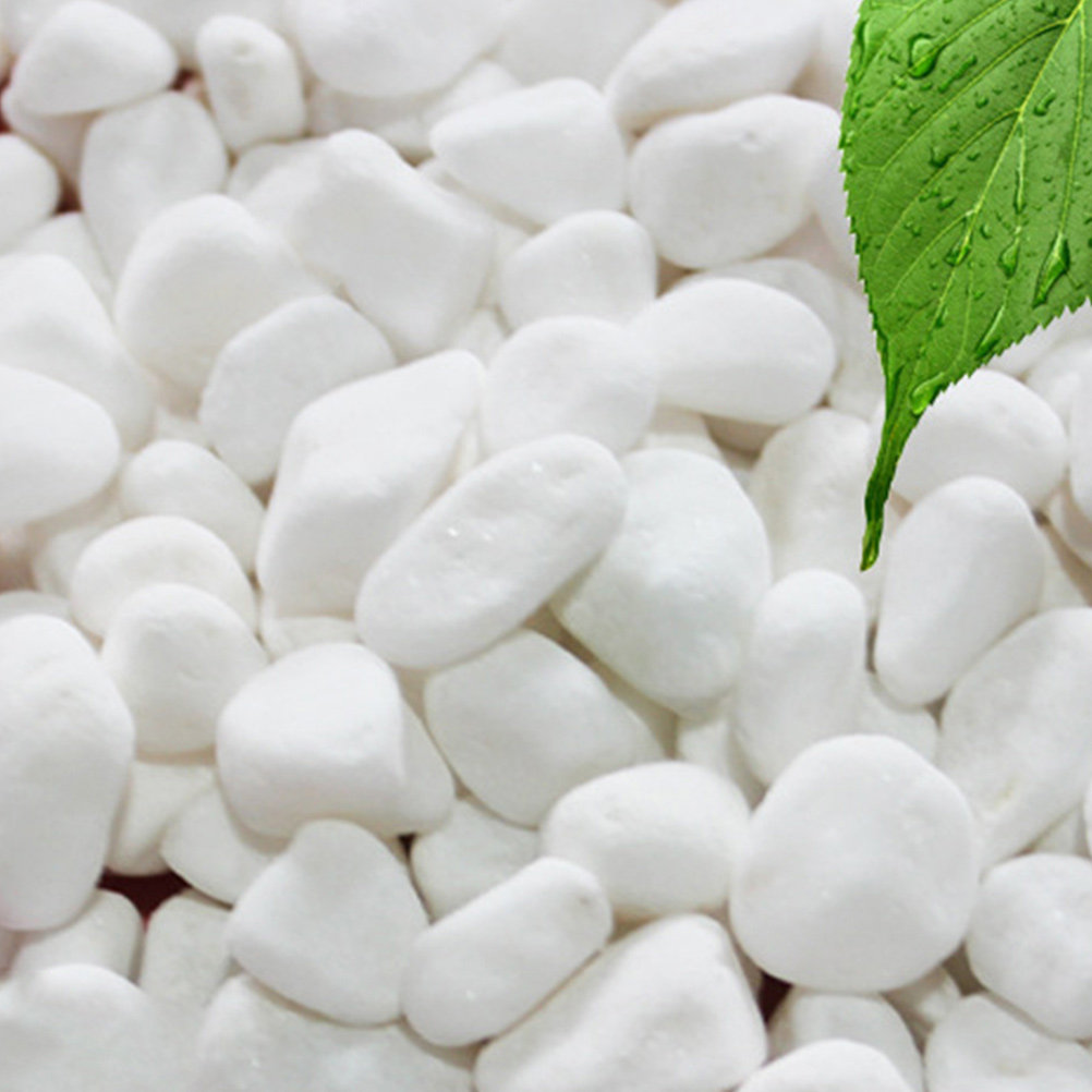 Plant Aquarium Pot - 1 ensemble de pierres décoratives blanches