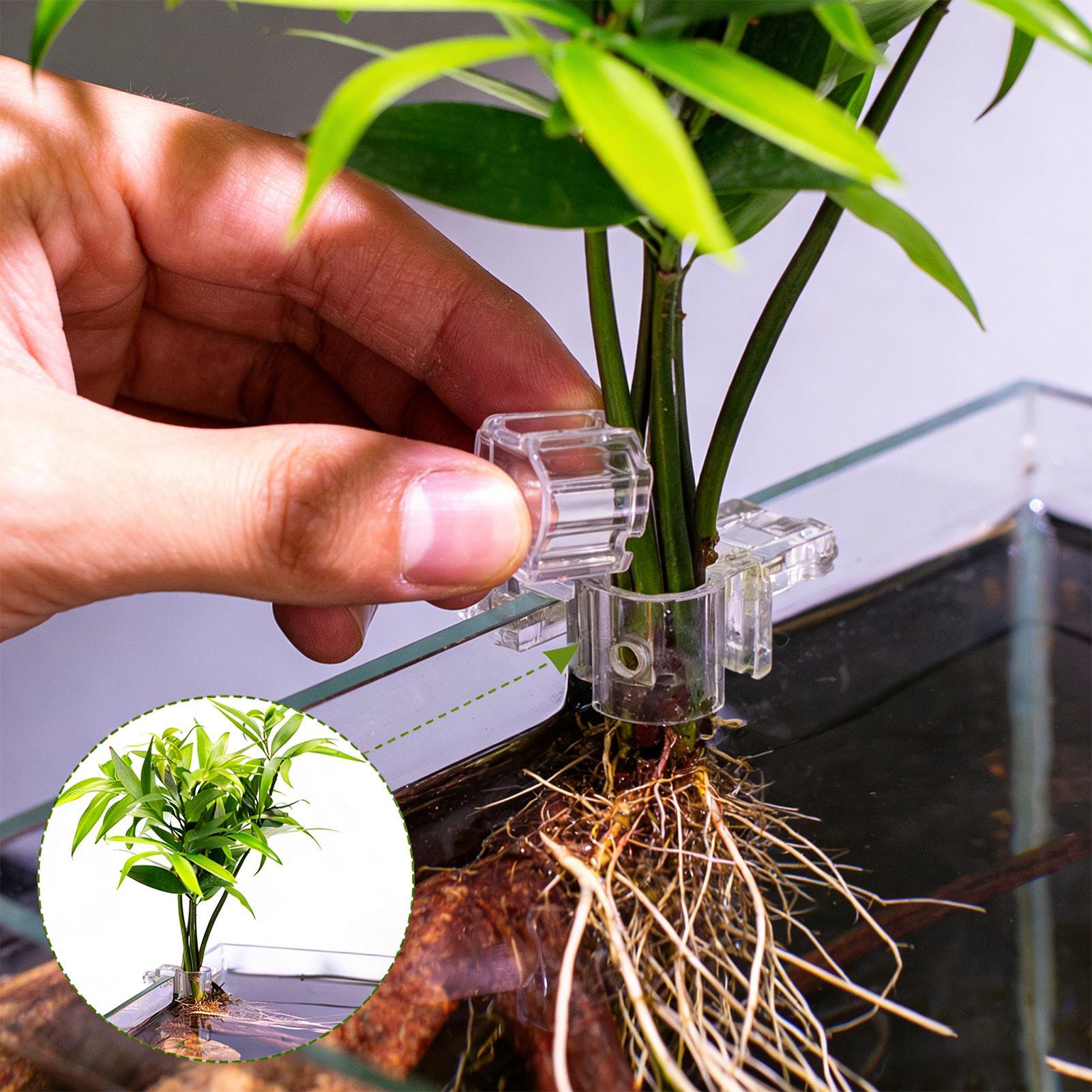 Aquarium Plants Live - 6 supports de plantes pour aquarium,