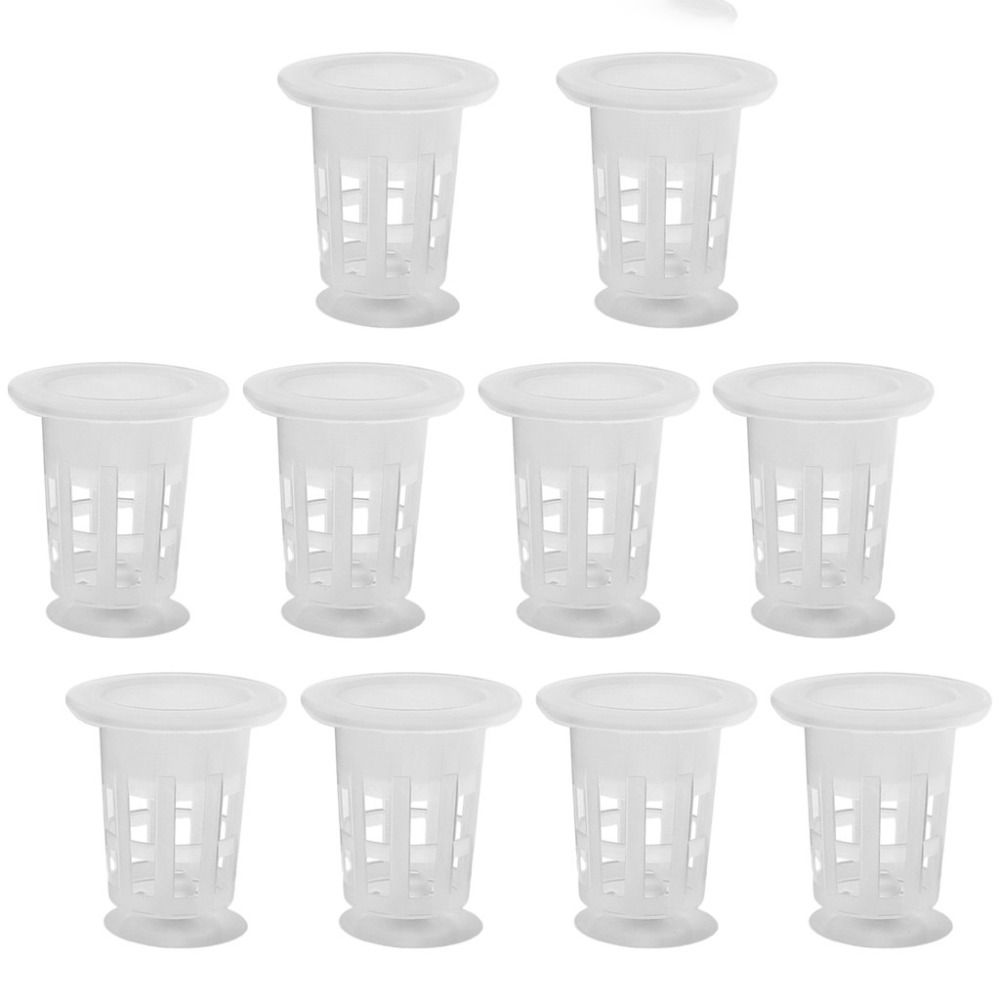 10 pots hydroponiques transpar - Aquarium Plants Live avis et prix