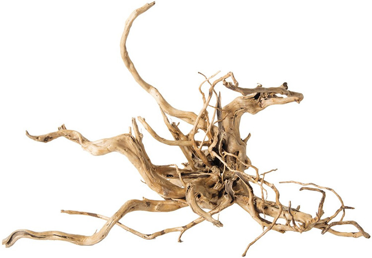 Bois flotté naturel poli pour  - Aquarium Driftwood avis et prix