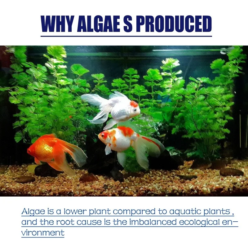 Algicide haute efficacité 50g  - Aquarium Fertilizer avis et prix