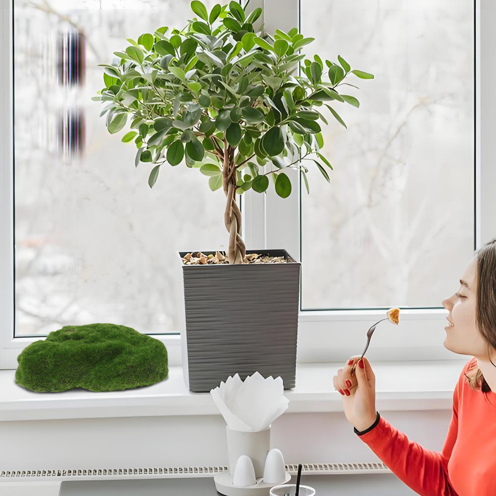 4 pièces de pierres décorative - Aquarium Moss avis et prix