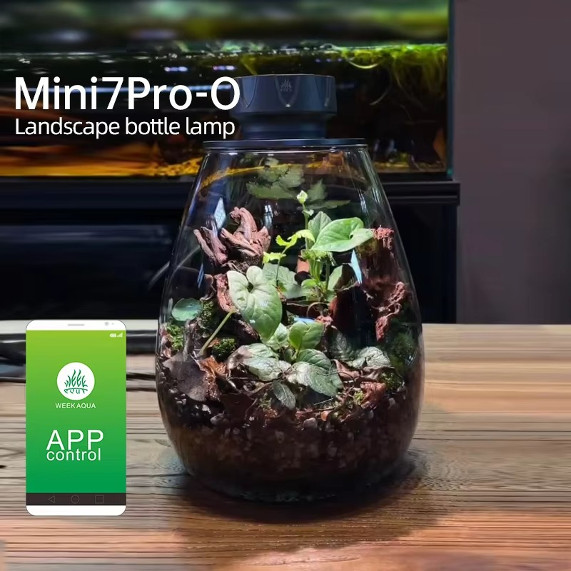 Lumière de remplissage de plan - Planted Tank avis et prix