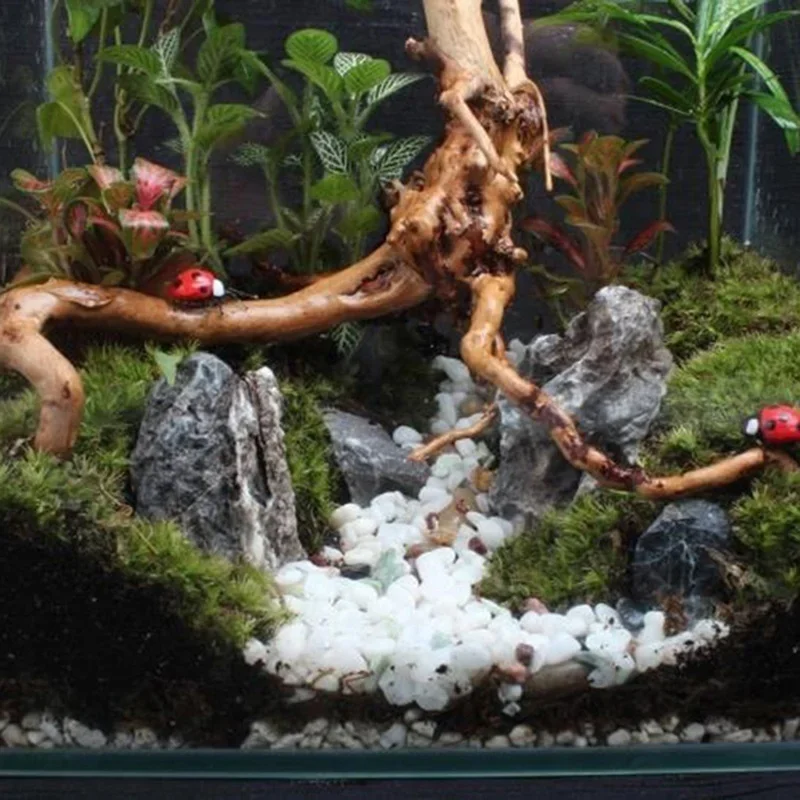 Tronc d'Arbre Naturel en Bois  - Aquarium Plant Substrate avis et prix