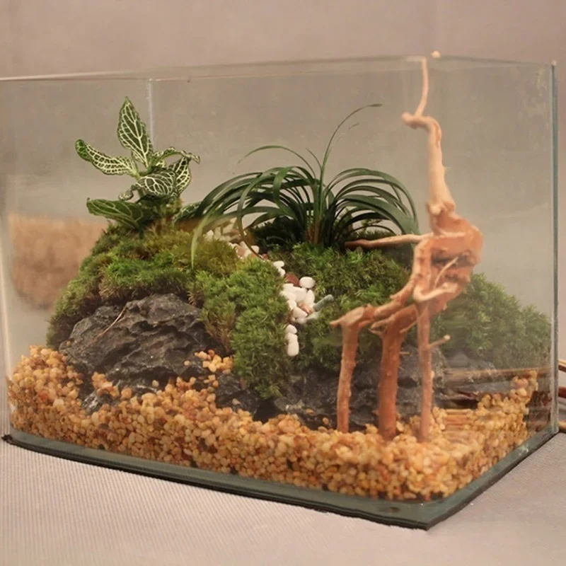 Tronc d'Arbre Naturel en Bois  - Aquarium Plant Substrate avis et prix