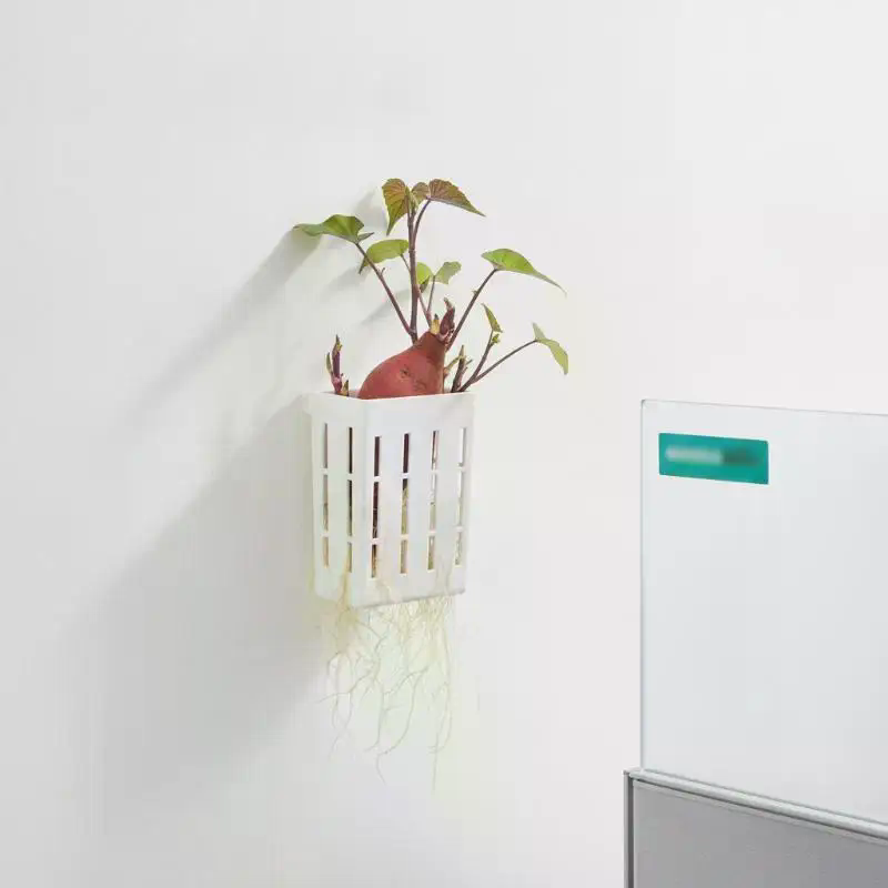 1 pièce Panier de support hydr - Planted Tank avis et prix