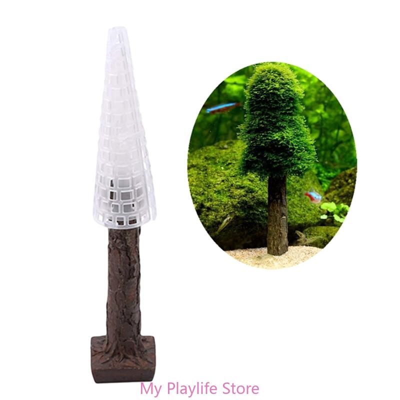 Mousse d'aquarium pour décorat - Aquarium Plant Holder avis et prix