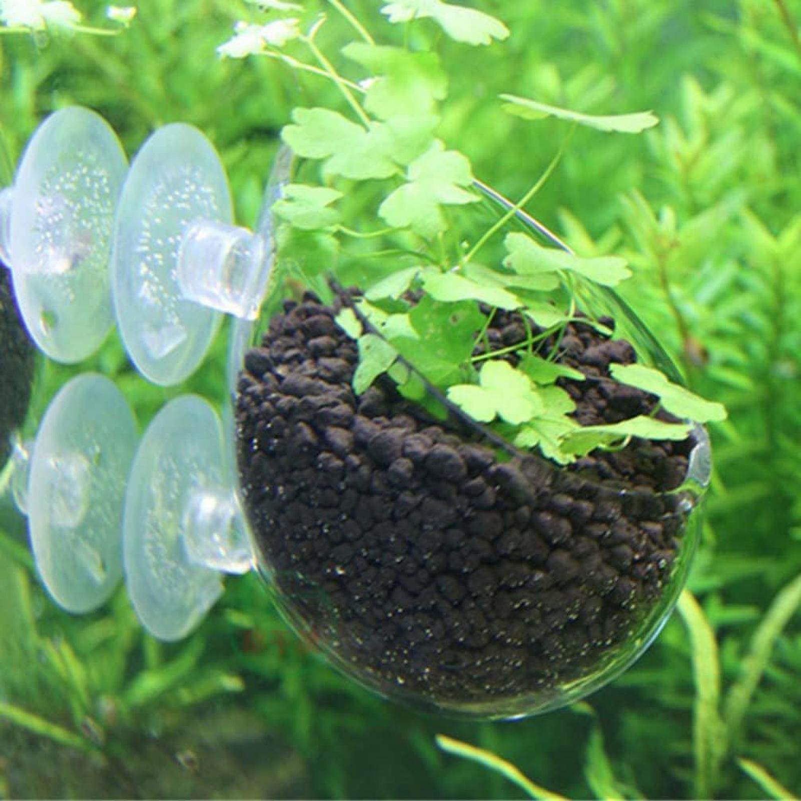 Support pour plantes d'aquariu - Aquarium Plants Live avis et prix