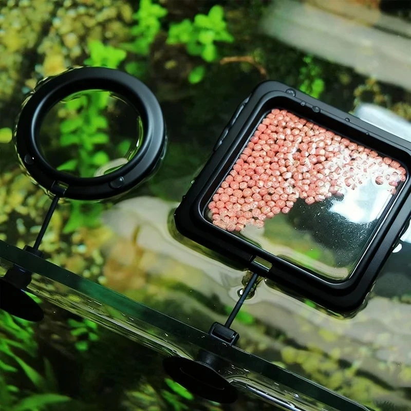 1/3 pièces Anneau d'alimentati - Aquarium Fertilizer avis et prix