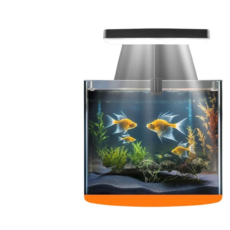 Lampe LED USB à pince pour aqu - Planted Tank avis et prix
