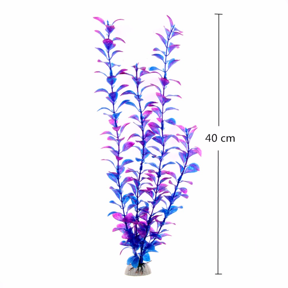 Accessoires d'aquarium, plante - Aquarium Plants Live avis et prix