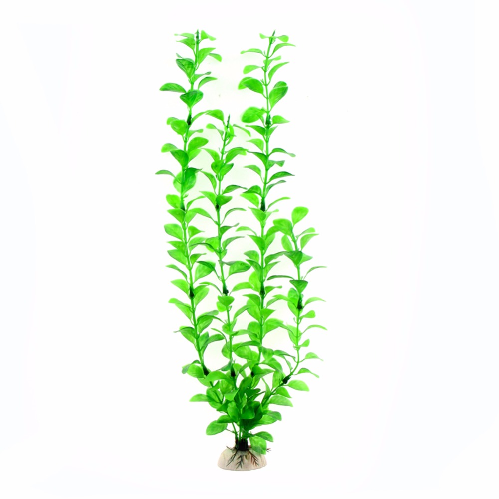 Accessoires d'aquarium, plante - Aquarium Plants Live avis et prix