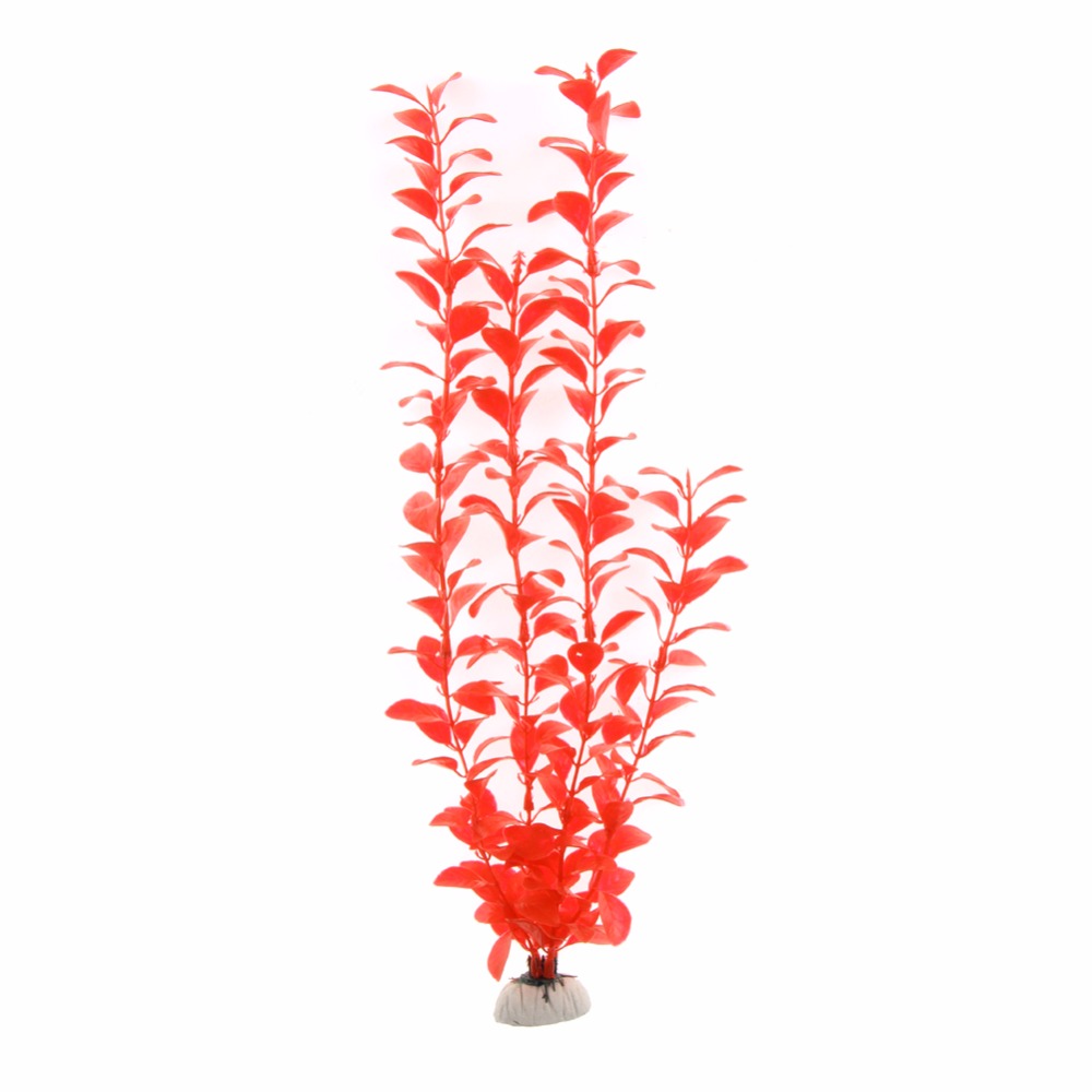 Accessoires d'aquarium, plante - Aquarium Plants Live avis et prix