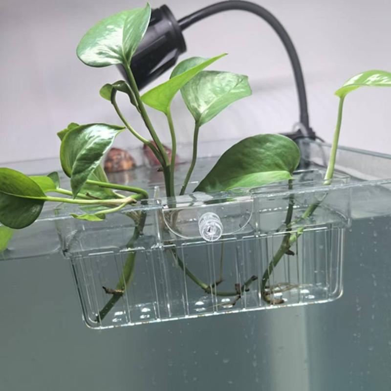 Panier hydroponique pour plant - Planted Tank avis et prix