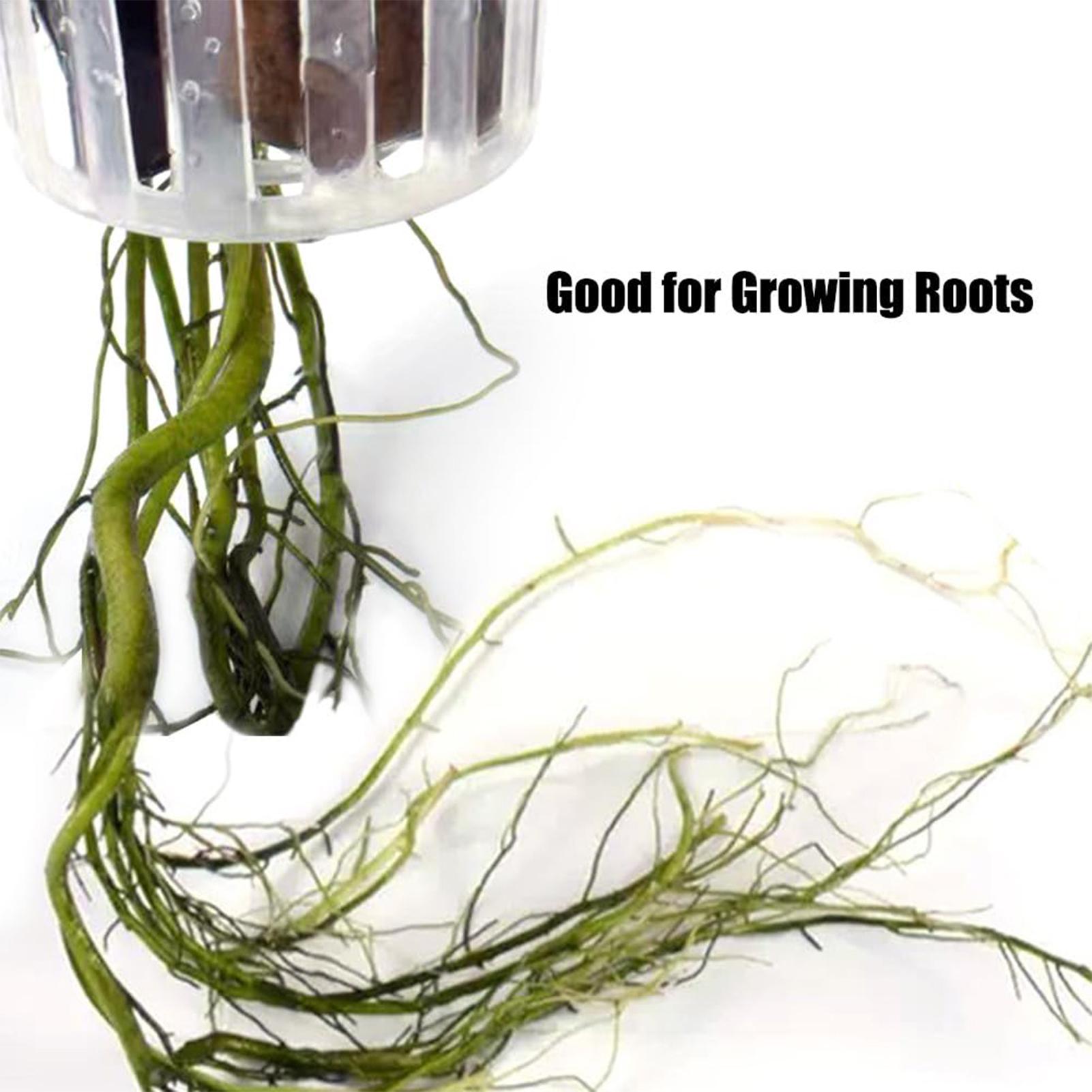 2 pièces, support pour plantes - Plant Aquarium Pot avis et prix