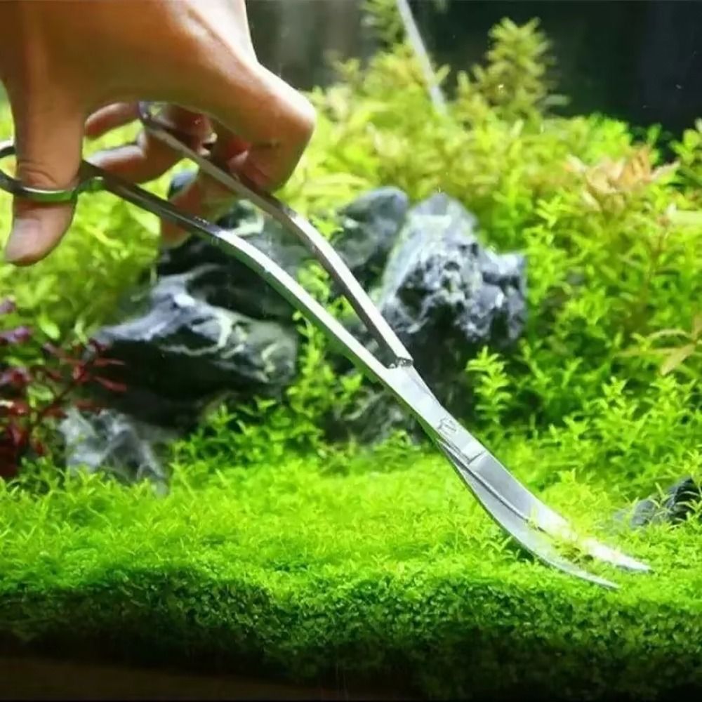 1 pièce Ciseaux d'aquarium en  - Planted Aquarium Cleaning avis et prix