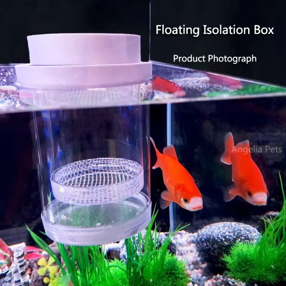 Boîte d'isolation flottante en - Aquarium Fertilizer avis et prix
