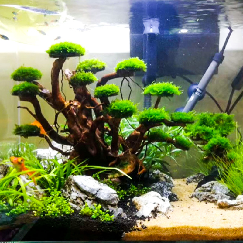 Décoration aquascaping : Ornem - Aquarium Plant Substrate avis et prix