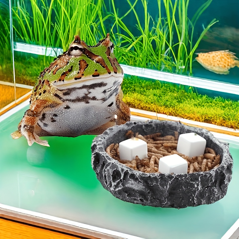 6 Blocs de Calcium pour Aquari - Aquarium Plants Live avis et prix